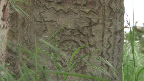 Sanskrit cross on the monument in grass Stock Footage