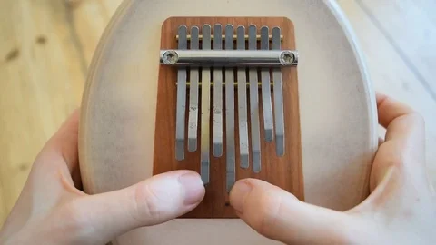 Sansula close up Stock Footage 72957956