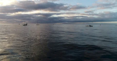 Santa Barbara Coast Video stock 82370280
