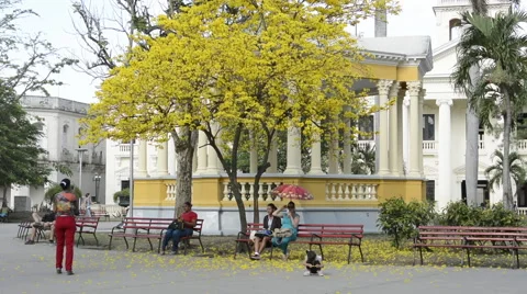 Santa Clara Cuba Main Square with locals and colorful trees and gazebo in 스톡 동영상 65358461