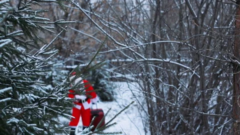 Santa Claus is coming back Stock Footage 166945163