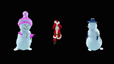 Santa claus Dance, with Alpha matte. 库存影片 166858347
