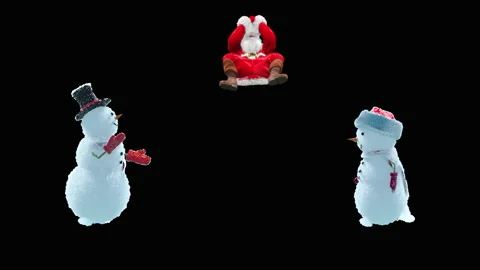 Santa claus Dance, with Alpha matte. Video stock 166858655