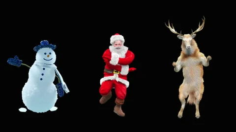 Santa claus Dance, with Alpha matte. 库存影片 219562104