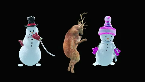Santa claus Dance, with Alpha matte. Видео 220441930