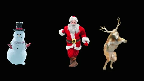 Santa claus Dance, with Alpha matte. 库存影片 220441956