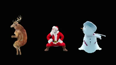 Santa claus Dance, with Alpha matte. 库存影片 220950653