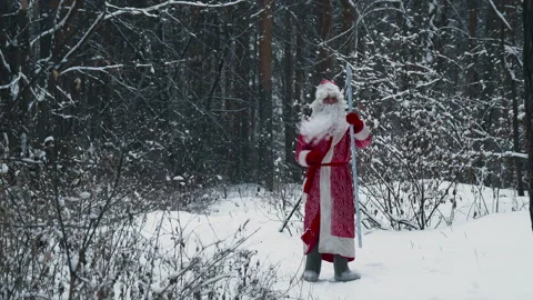 Santa Claus is dancing in the forest Stock-Footage 175257157