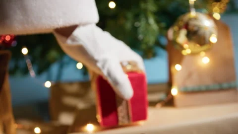 Santa Claus delivering presents under the Tree Stock Footage 255889342