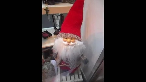 Santa Claus Stock Footage 133257531