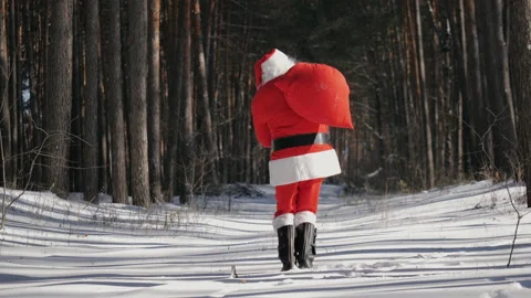 Santa Claus is funny dancing in the winter sunny forest Stock Footage 160723593