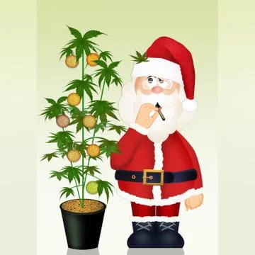 Santa Claus grows marijuana Stock Illustration