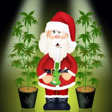 Santa Claus grows marijuana Stock Illustration