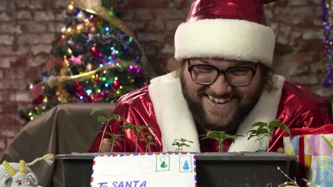 Santa Claus laughs,in front of him are hemp seedlings close-up.Cannabis Stock Footage 163659214
