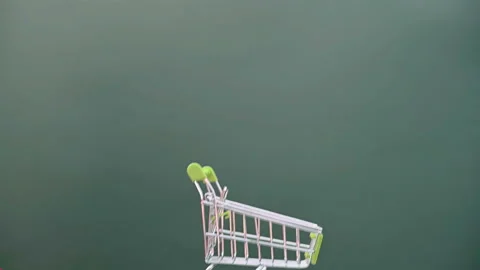 Santa Claus lifting up an empty shopping cart Stock Footage 166143936