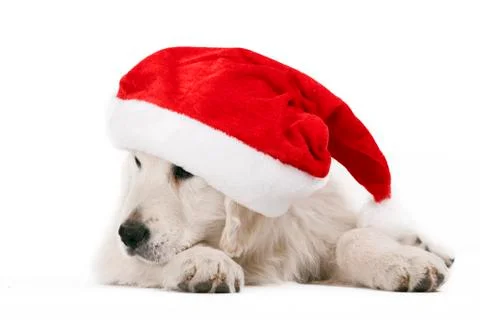 Santa claus Stock Photos