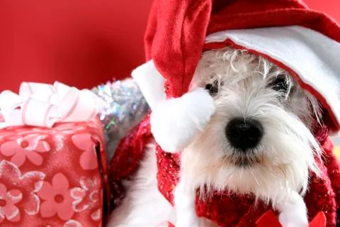 Santa claus Stock Photos