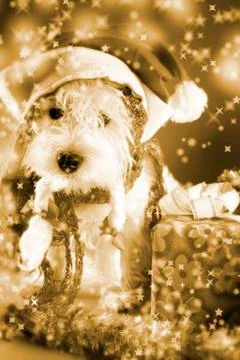 Santa claus Stock Photos