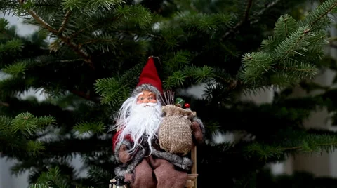 Santa claus on pine tree Stock Footage 35791008