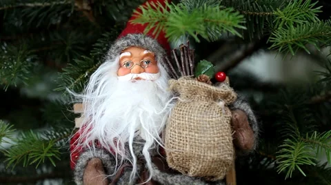 Santa claus on pine tree Stock Footage 35791056