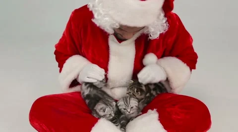 Santa Claus is playing with kittens Stock Footage 42657428