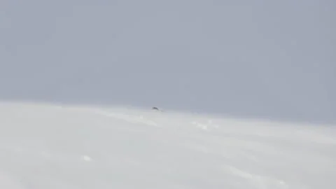 Santa Claus is skiing Stock Footage 167642057