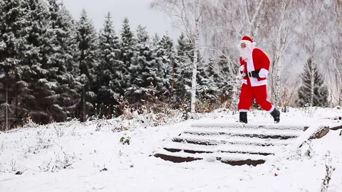 Santa Claus strides through the forest Stock Footage 167070493