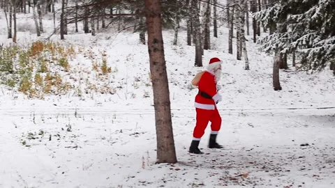 Santa Claus is walking through the forest Stock Footage 166682553