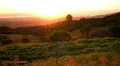 Santa Cruz Sunrise 03 HD Footage