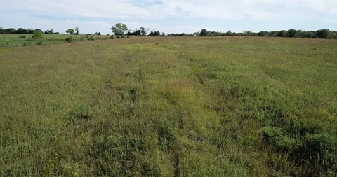 Santa Fe Trail Ruts Stock Footage 119045663