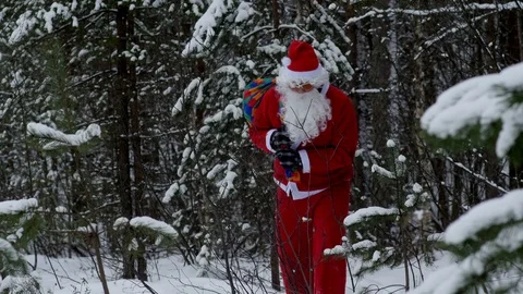 Santa with gift bag going through winter forest, 4k footage Stock Footage 72702947