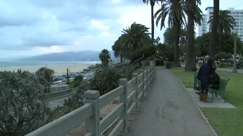 Santa Monica Video stock 597085