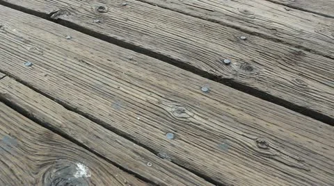 Santa Monica Pier Video stock 20510596