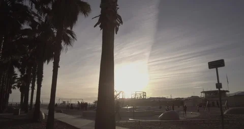 Santa Monica - Tracking Side To Side Of The Pier &amp; Palm Trees in The Foreground Stock Footage 87383268