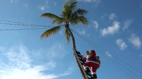 A Santa in a palm tree marks Christmas in Florida or another tropical Stock Footage