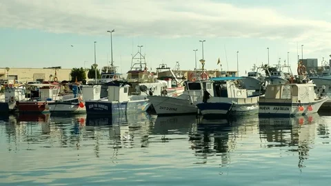 Santa Pola Stock Footage 83446525