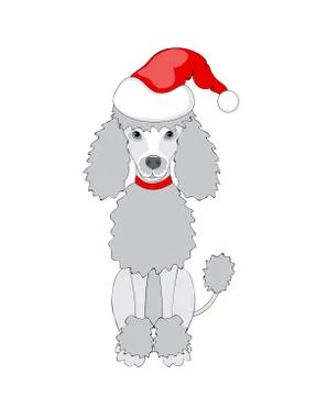 Santa poodle boy Stock Illustration