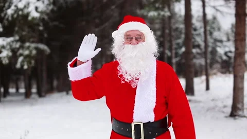 Santa says goodbye Stock Footage 166834528