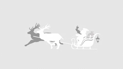 Santa On A Sleigh Stock Footage 255889659