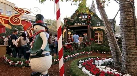 SANTAS HOUSE...WAITING TO GET IN Stock Footage 9300342