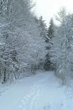 Santa's path Stock Photos