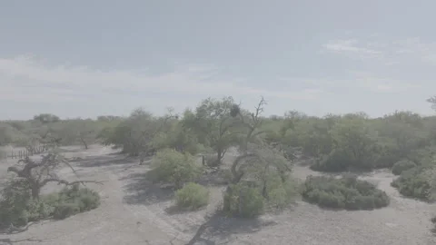 SANTIAGO10 Video stock 240764098