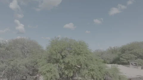 SANTIAGO4 Video stock 240769889