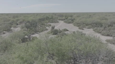 SANTIAGO5 Video stock 240765621