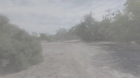 SANTIAGO7 Video stock 240764990