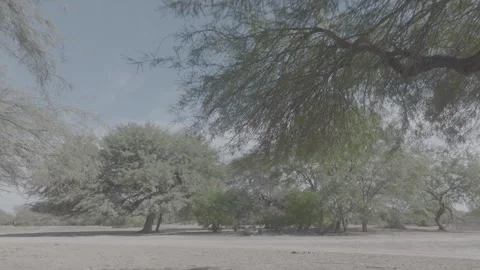 SANTIAGO8 Video stock 240764810