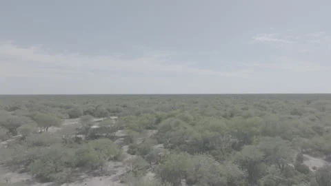 SANTIAGO9 Video stock 240764443