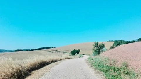 Santiago's walk. road between the fields Stock Photos