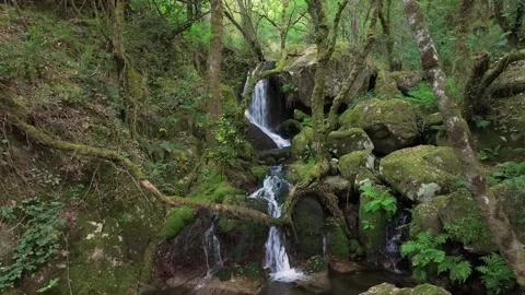 Santo Estevo do Ermo Waterfall Over Mossy Rocks Stock-Footage 336365423