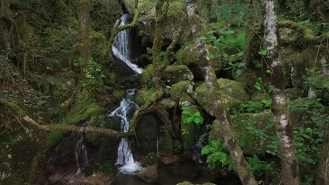 Santo Estevo do Ermo Waterfalls In Tropical Forest Stock-Footage 336365422